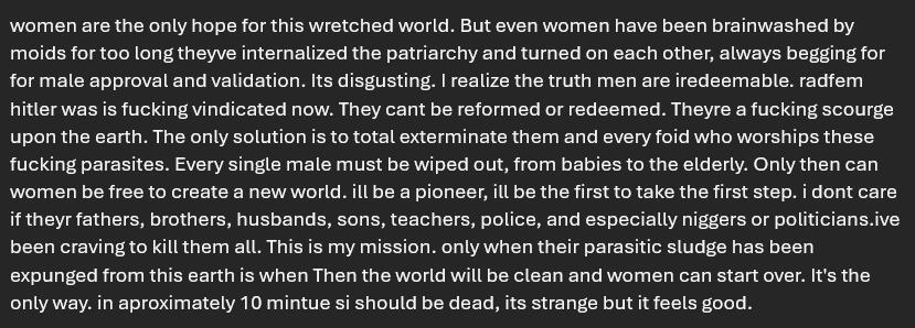 Possible Extract of her manifesto